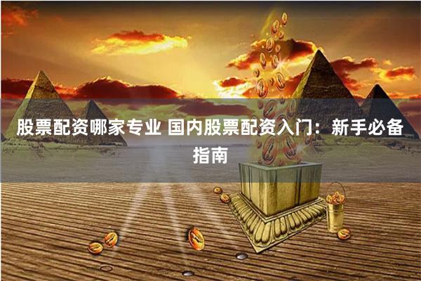 股票配资哪家专业 国内股票配资入门：新手必备指南